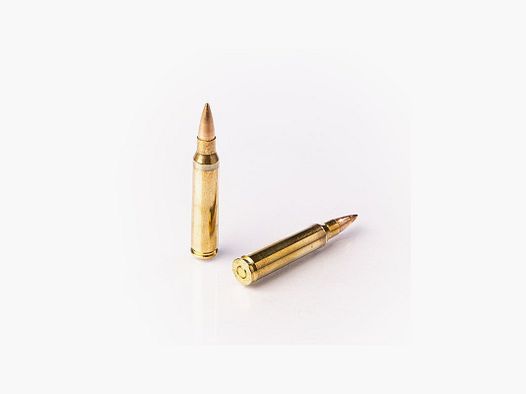 BOITE DE 50 CARTOUCHES FIOCCHI CAL.223 REM 55 GR FMJ
