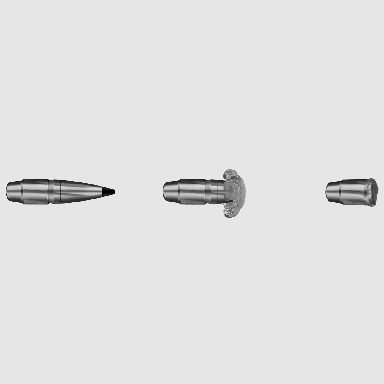 RWS cal. .300 Win Mag, Speed Tip Pro 10,7 g, immagine 3 di 3