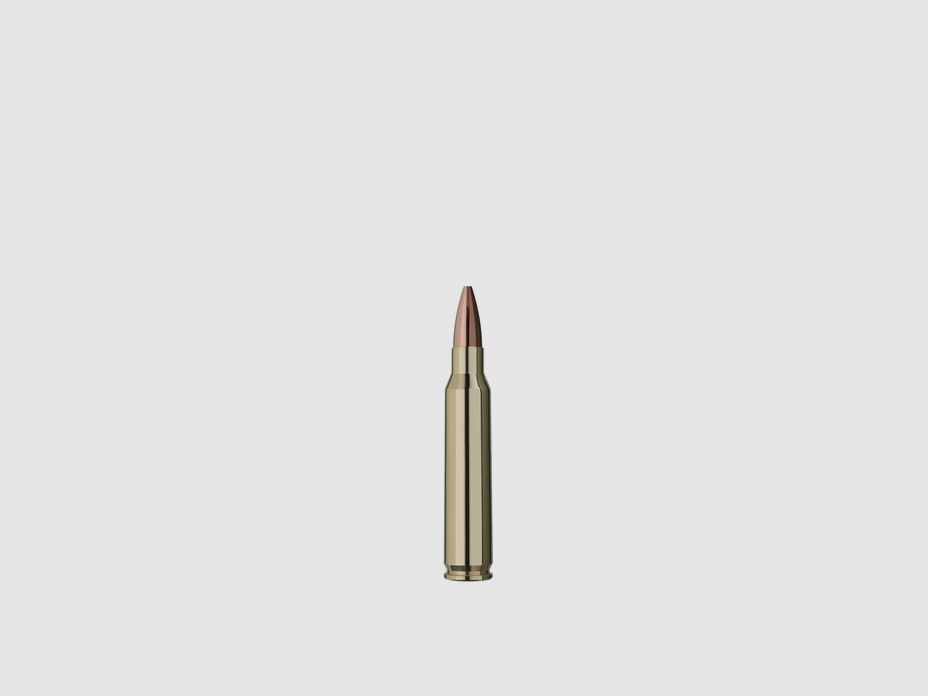 RWS .223 Rem. TARGET ELITE PLUS 5,0g/77gr 20 Patronen