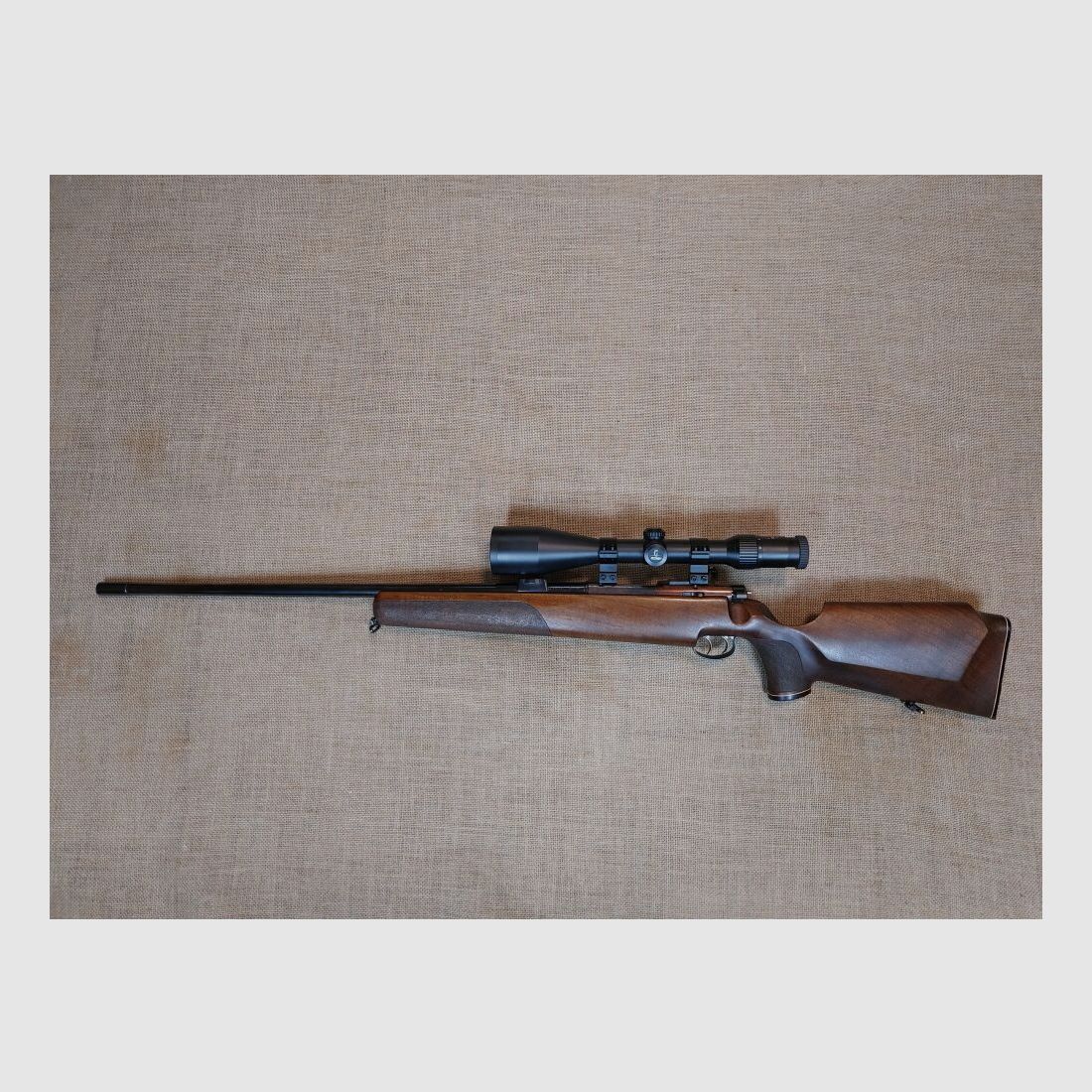 Anschütz, Ulm DJV Match de Chasse