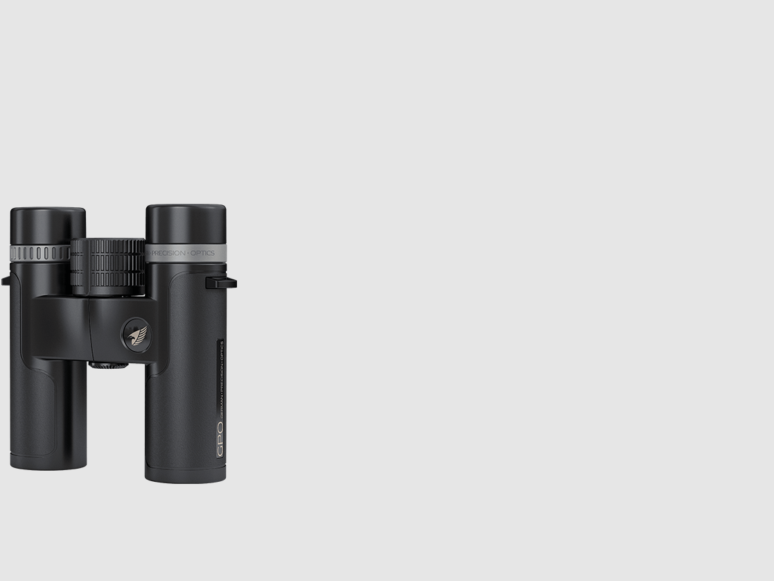 PASSION™ SD 8x26