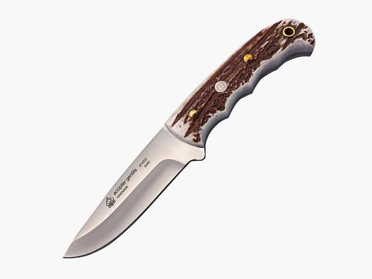 PUMA IP accipiter gentilis