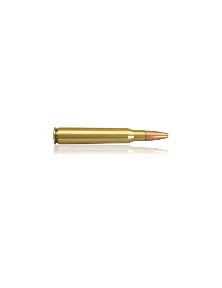 Norma 7x64 Oryx 156 gr, imagen 2 de 5