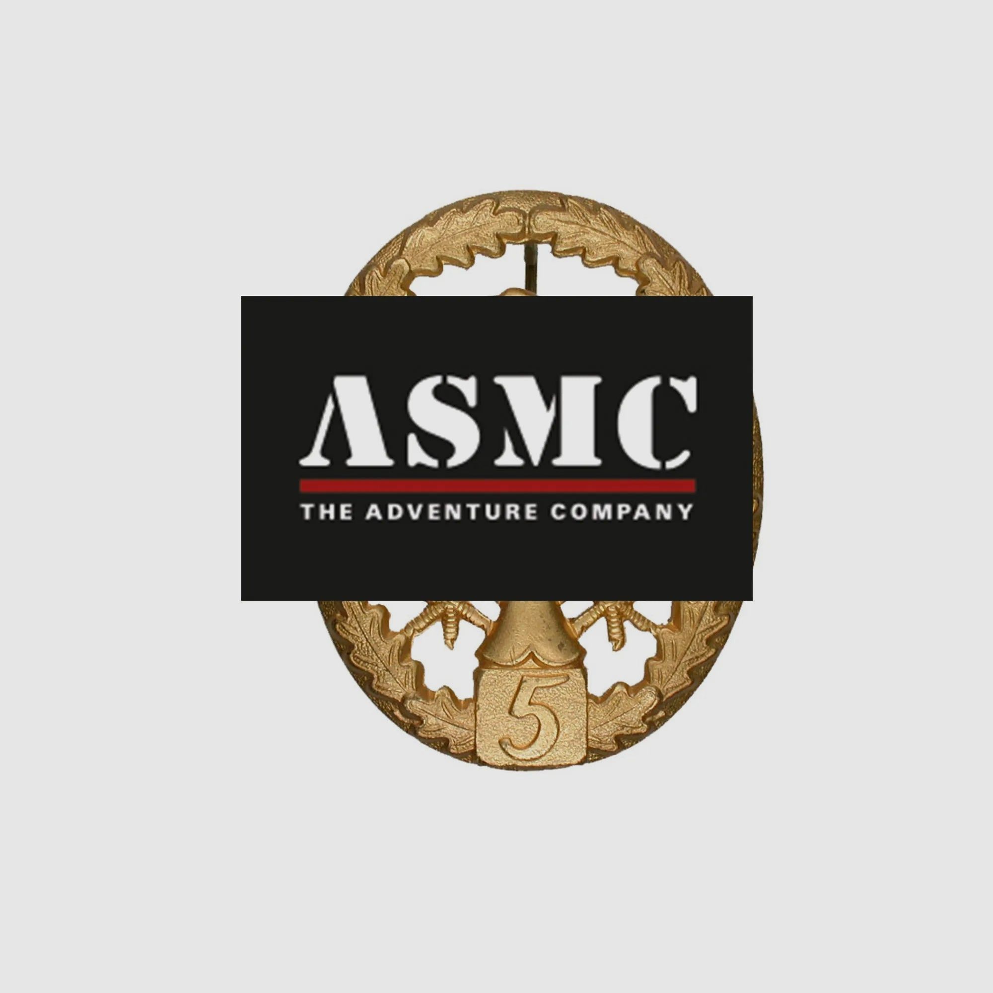 Fritzsch Leistungsabzeichen Zahl 5 Metall goldfarben