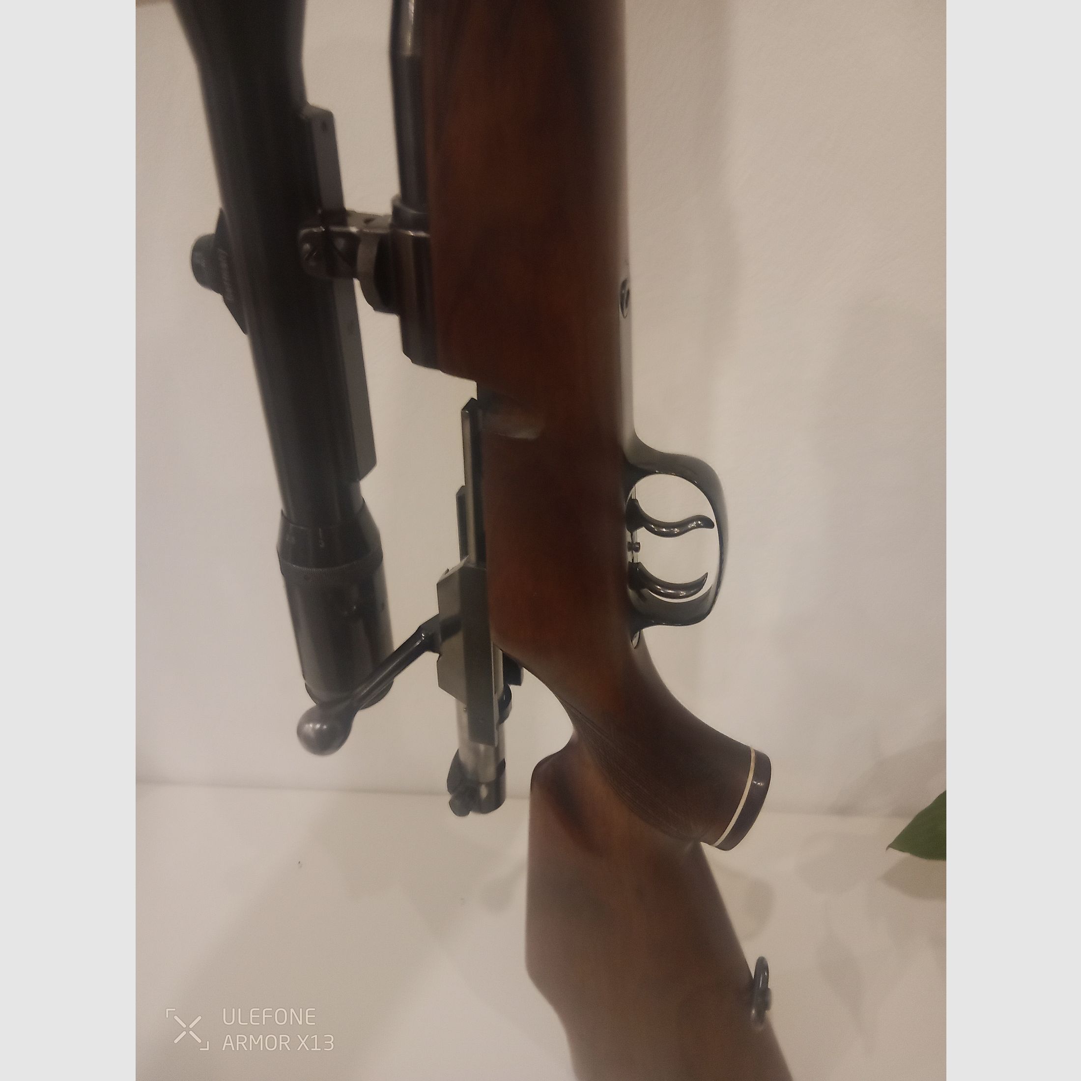 Mauser 66