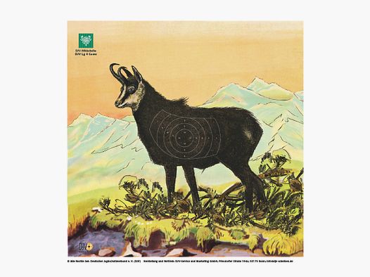 DJV targets for air rifles