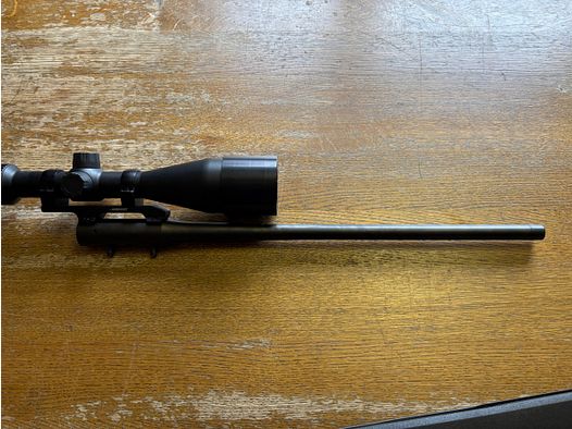 Blaser R8 Wechsellauf 17. Hornet