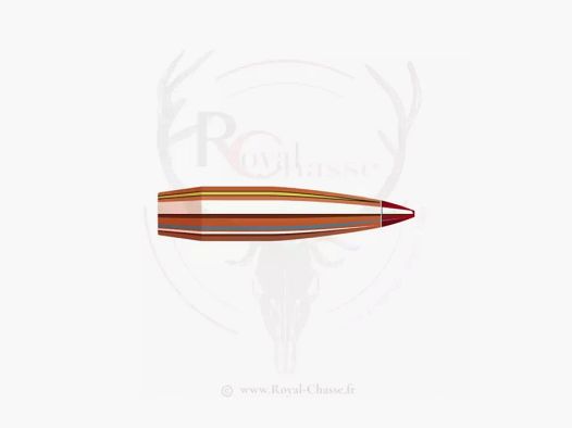 100 ogives Cal.22 D.224 62Grs ELD-VT HORNADY