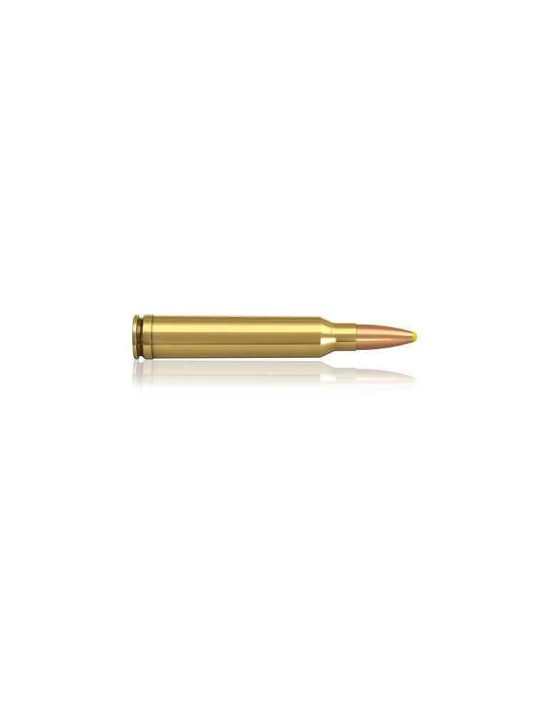 Norma Plastic Point 300 Win Mag 180 gr
