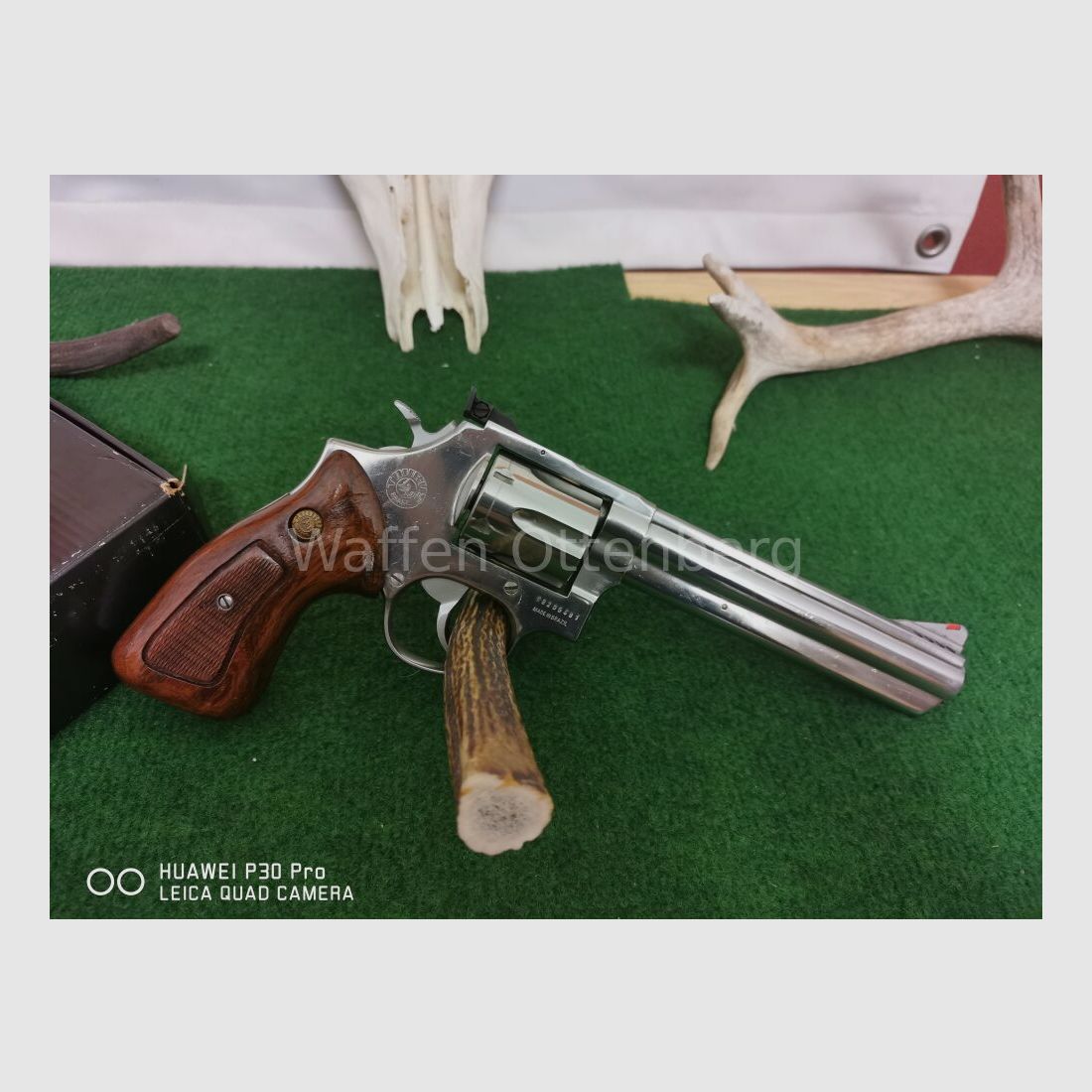 Taurus 669