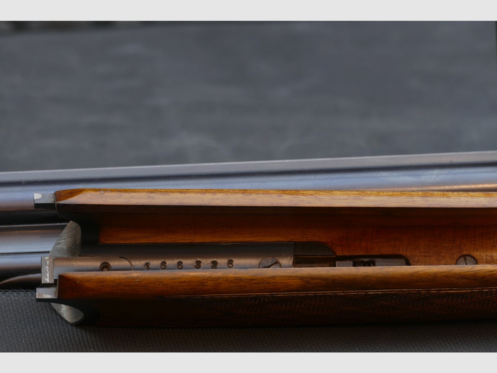 Antonio Zoli BBF in .243Win und 16/70