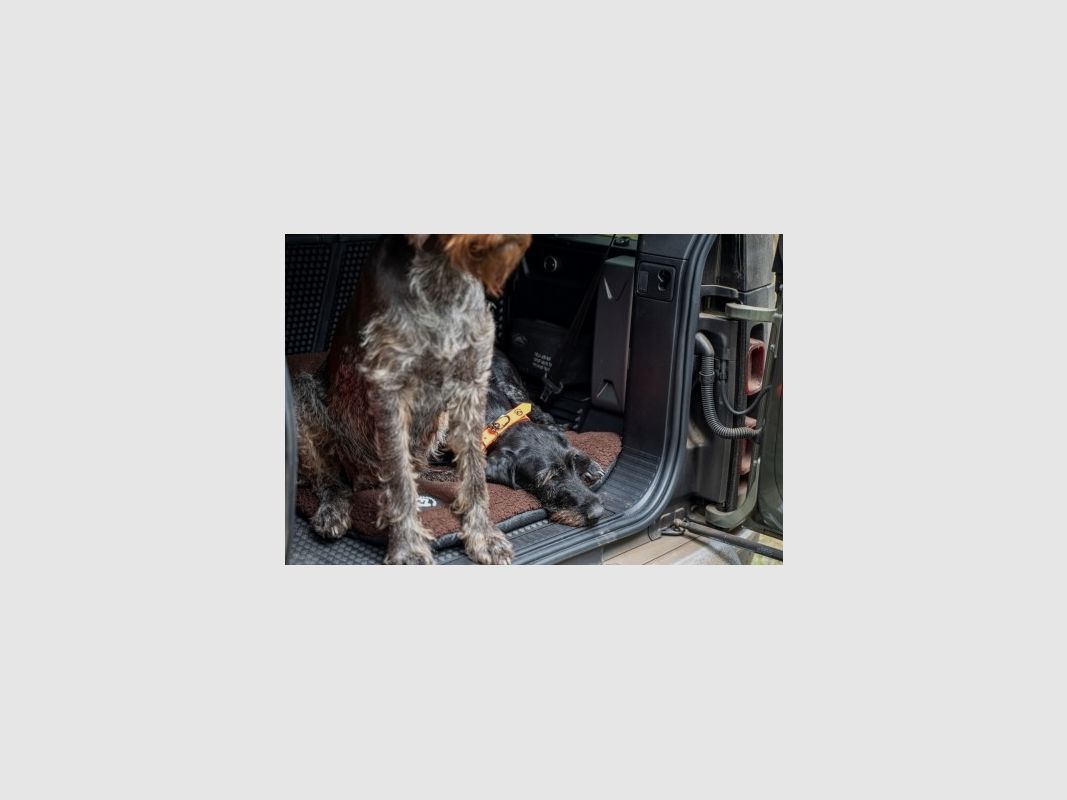 Farm-Land Hundedecke Faserpelz 50x70cm verschiedene Farben