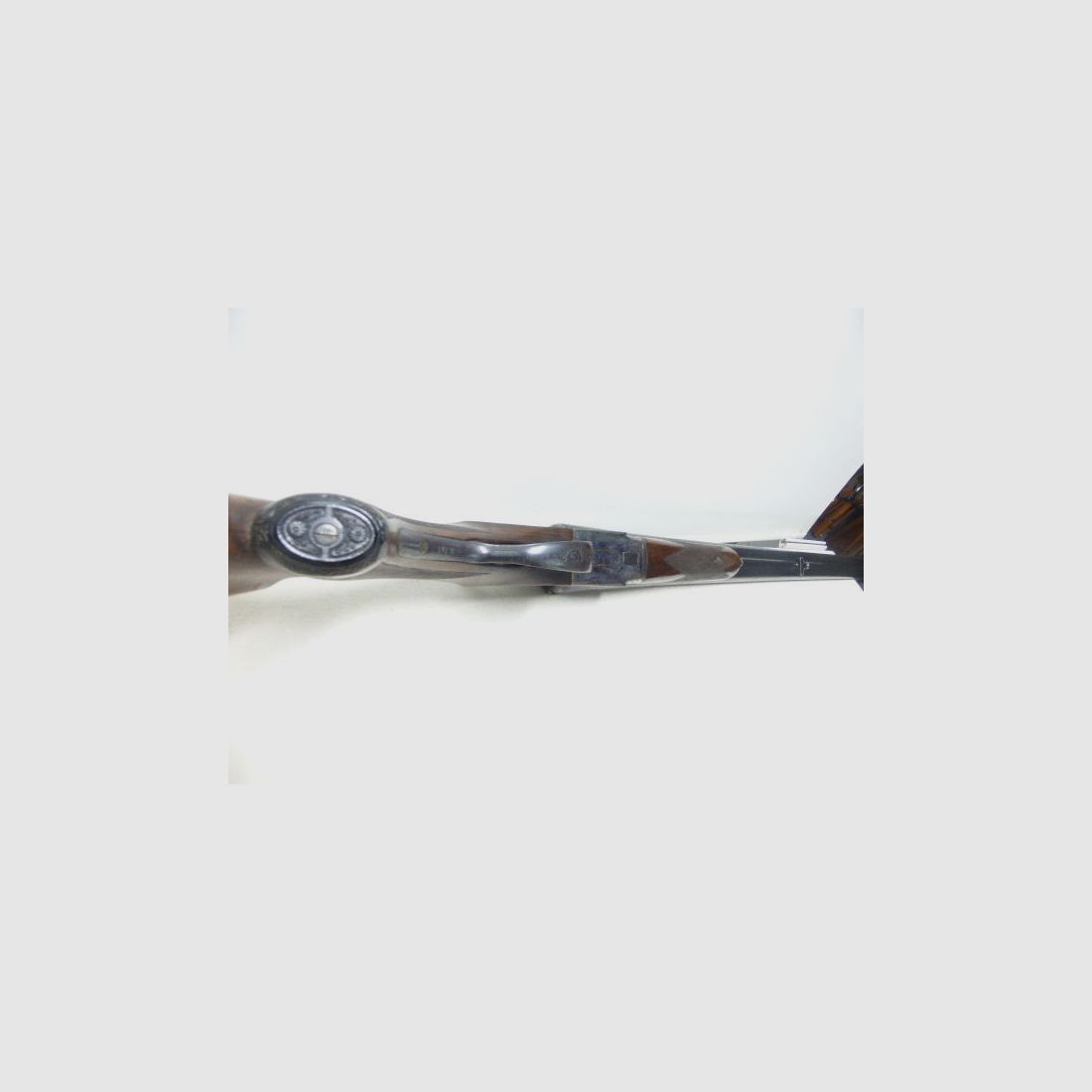 Aya-Spain Jagd