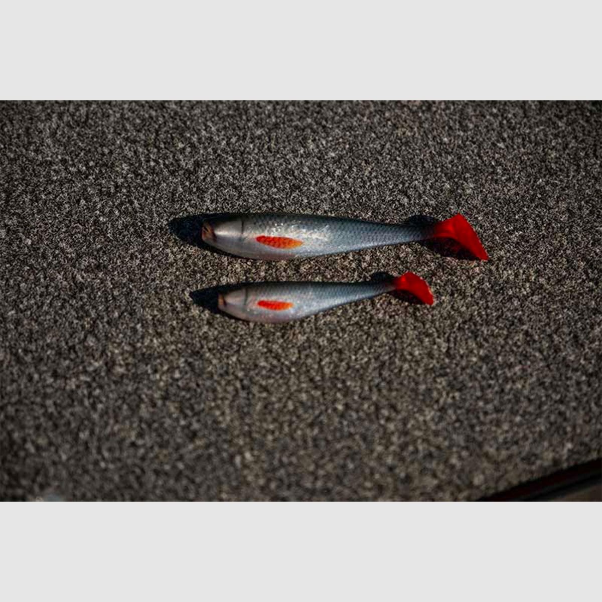 FOX RAGE – NATURALS ZANDER PRO BULK SHADS 16cm 6.3″ | Ultra Realistic Roach, immagine 4 di 4