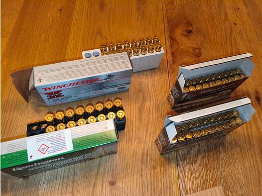 Różnorodna amunicja myśliwska .22-250 (zestaw do wstrzelenia)