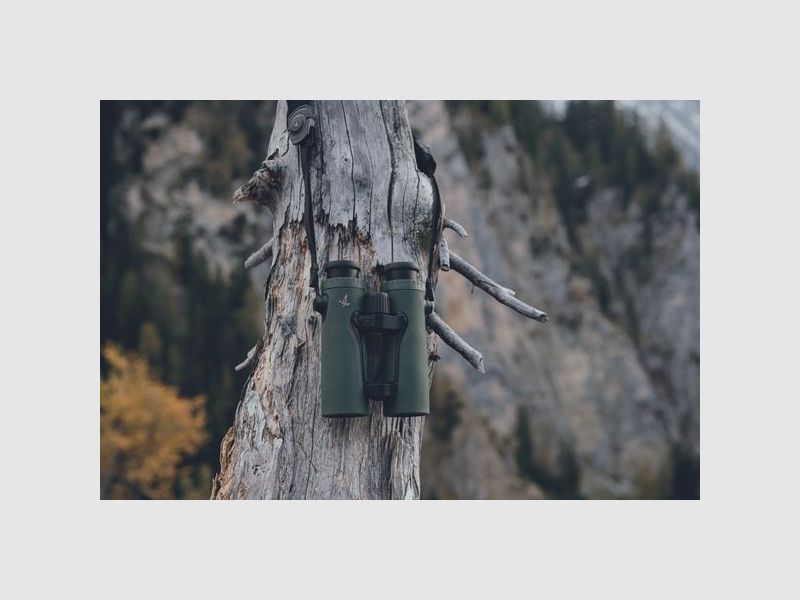 Swarovski EL Range 12x42 Green Håndkikkert, billede 6 af 8
