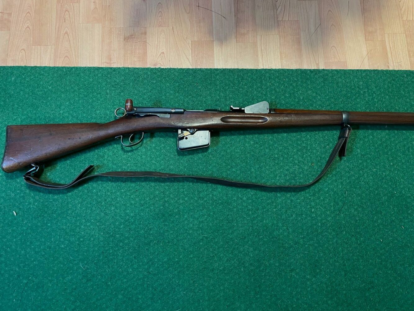 Schmidt-Rubin	 1889