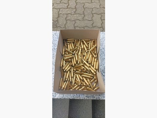 Hülsen 308 Federal ( selbes Los )