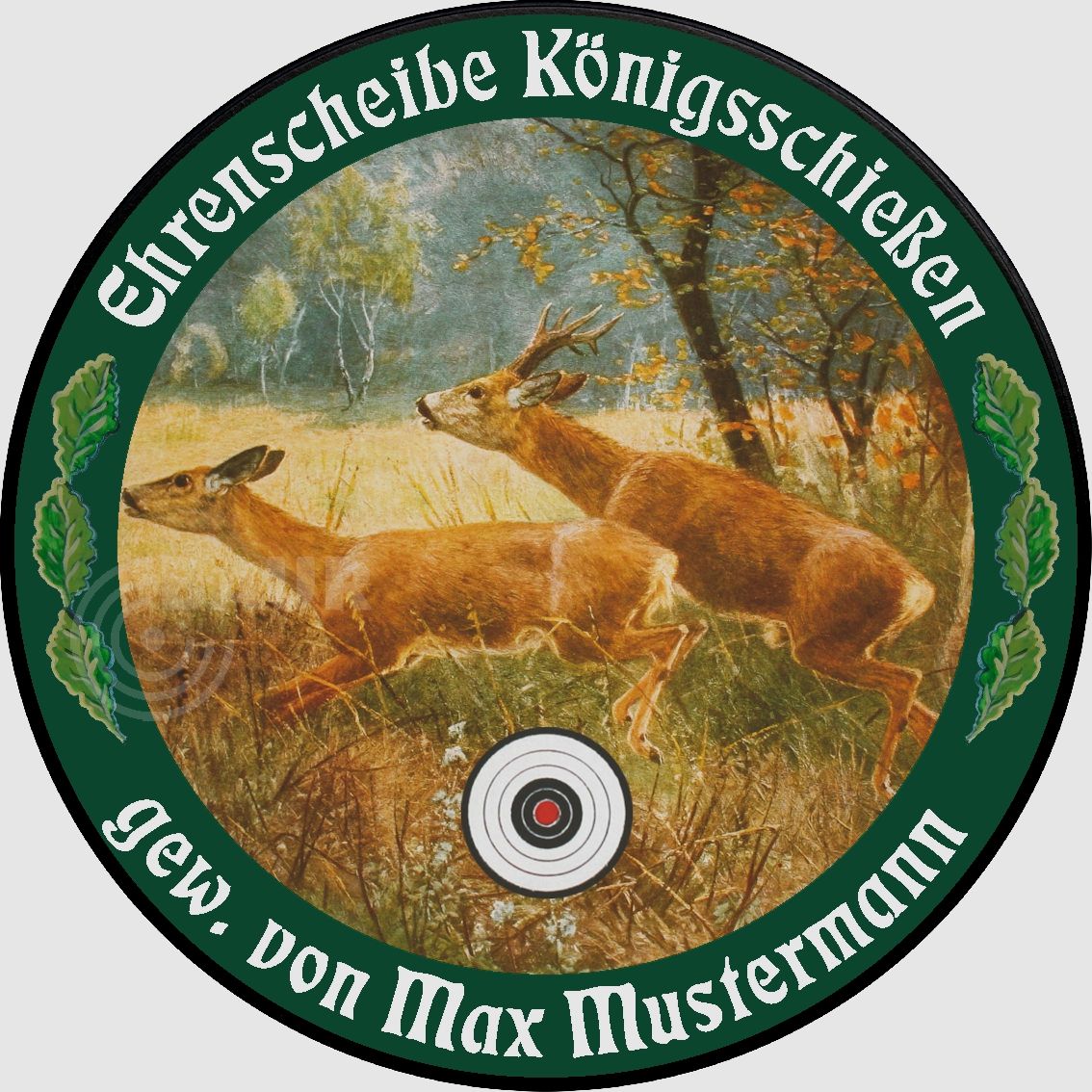 Schietschijf ECO-LINE Motief 150, afbeelding 1 van 6