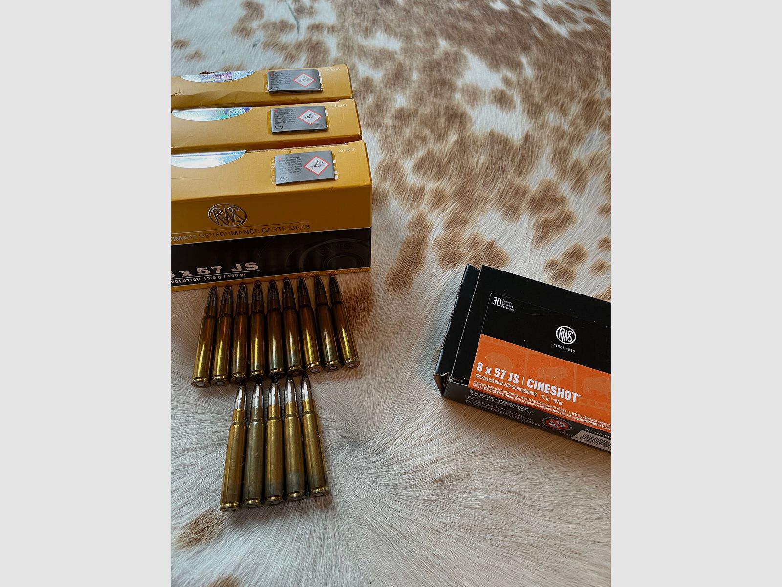 RWS 8x57 JS Evolution 13g / 200gr 75 shots