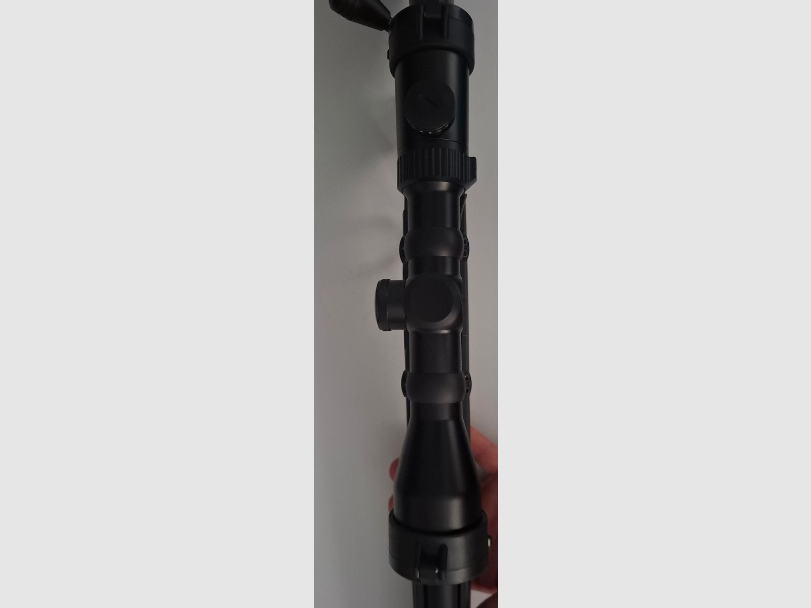 Bergara 