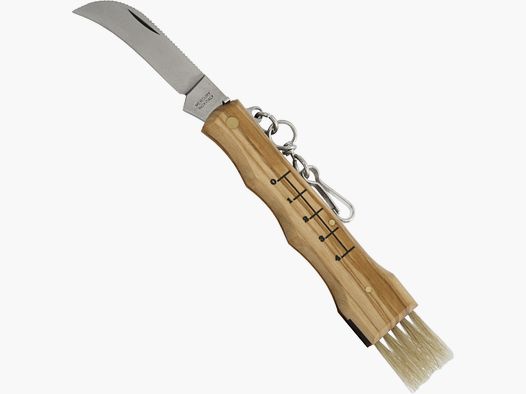 Pilzmesser Olivenholz