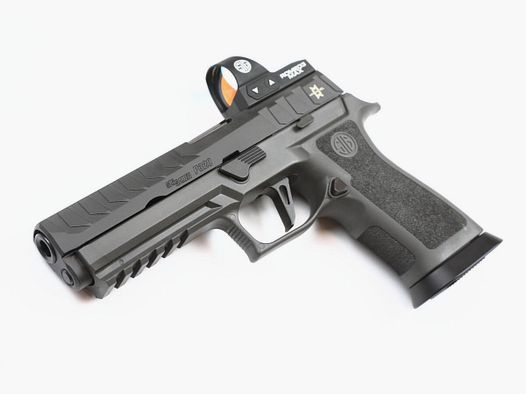 Sig Sauer P320 MAX MICHEL