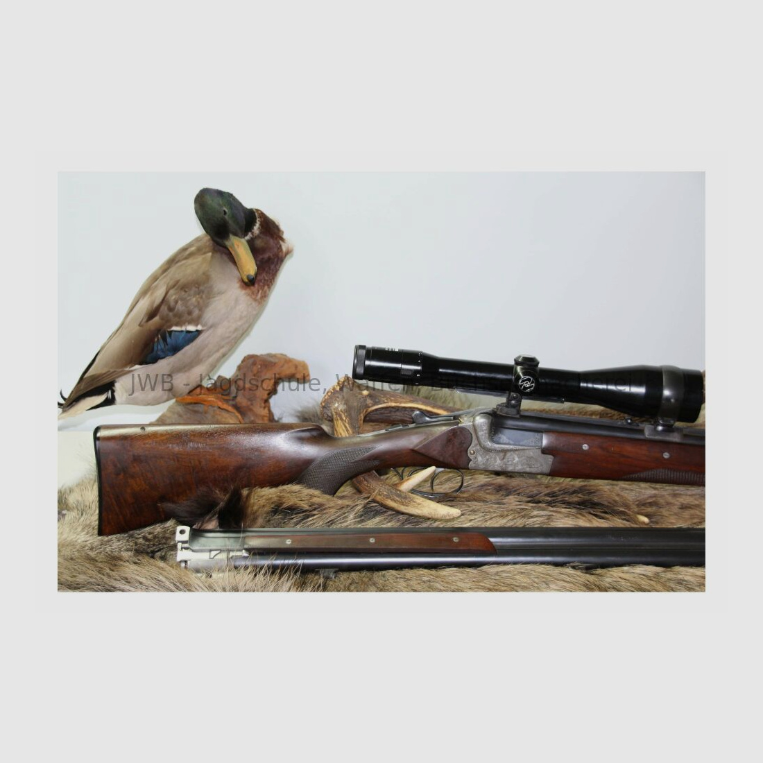 Merkel escopeta de doble cañón con cañón intercambiable de doble cañón y visor variable 12/70; 7x57R