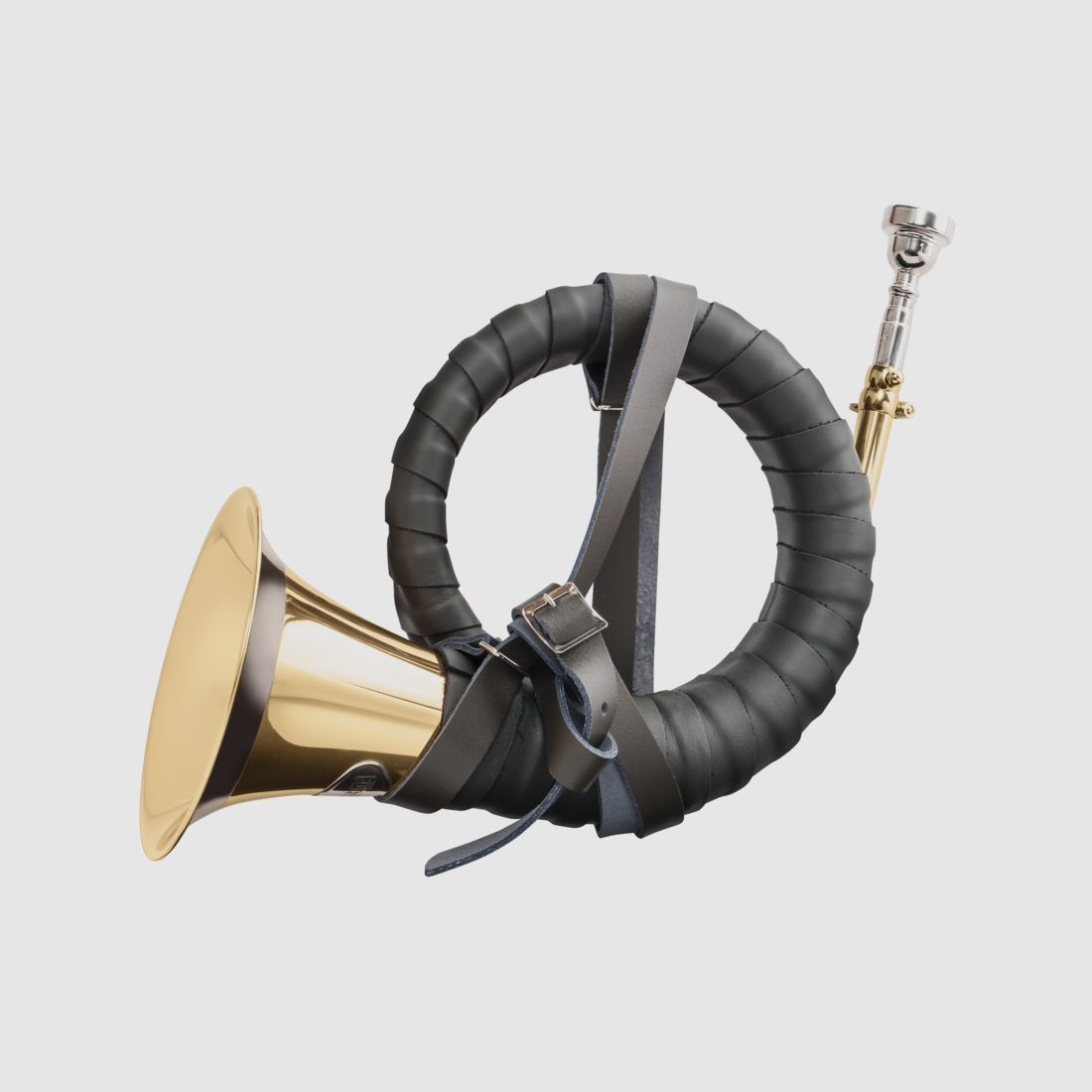 Fürst-Pless-Horn de Luxe