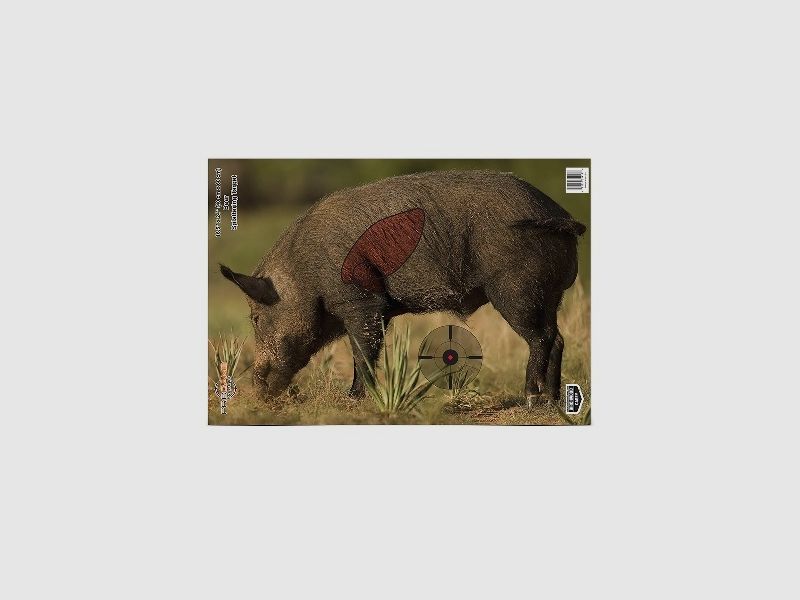 3 Scheiben Wildschwein 40x60cm