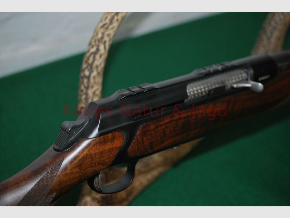 Sauer	 303