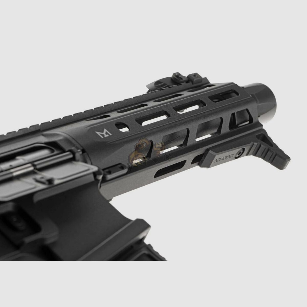 G&G ARP 556 2.0 mit ETU in Schwarz Airsoft S-AEG frei ab 18