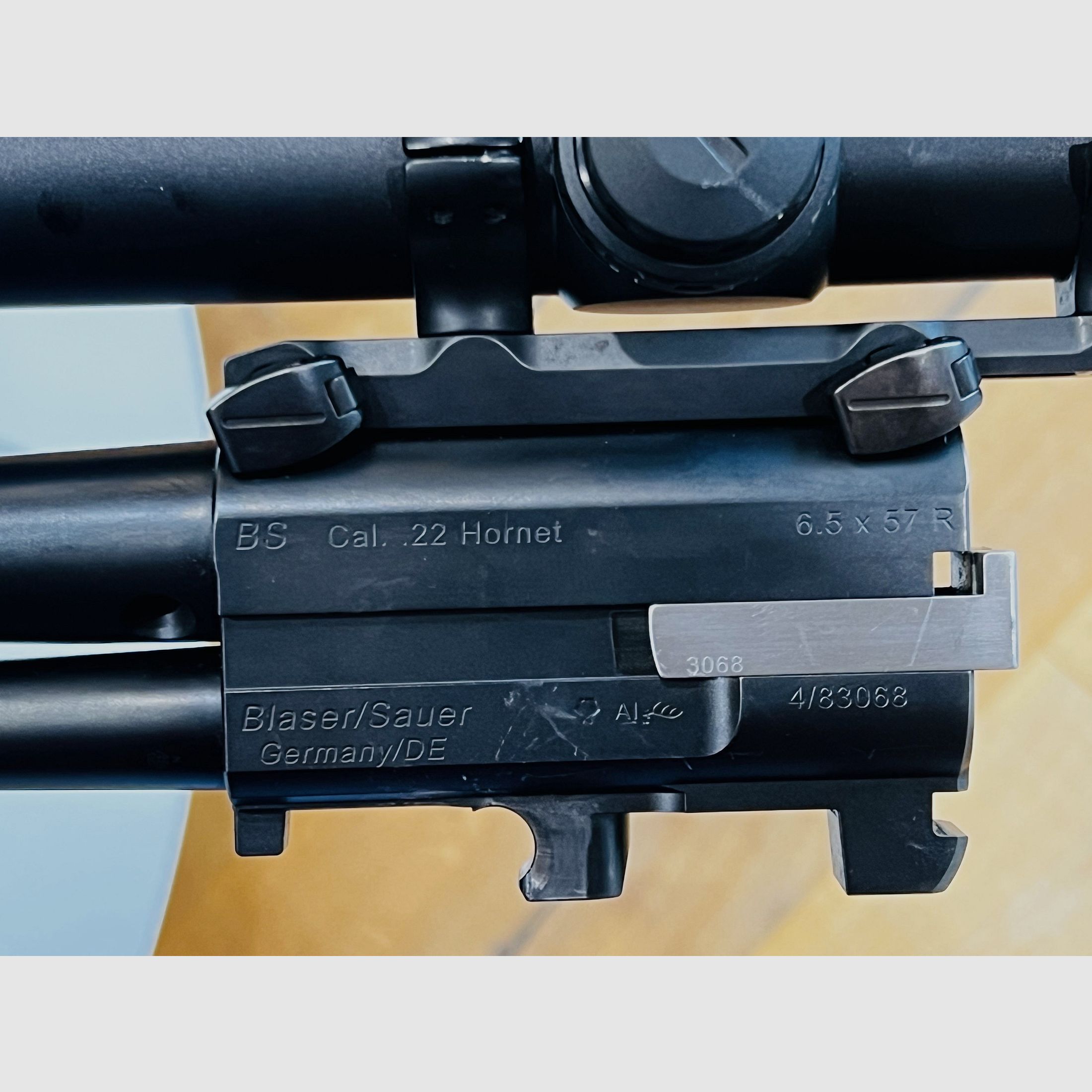 Blaser Bergstutzen BS 95