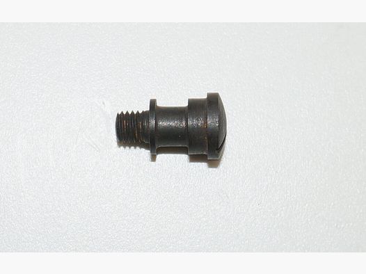 Weapon Factory Bern Used Cover Plate Screw for Swiss Service Revolver 29