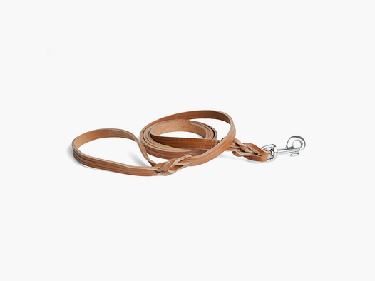 Leather Dog Leash