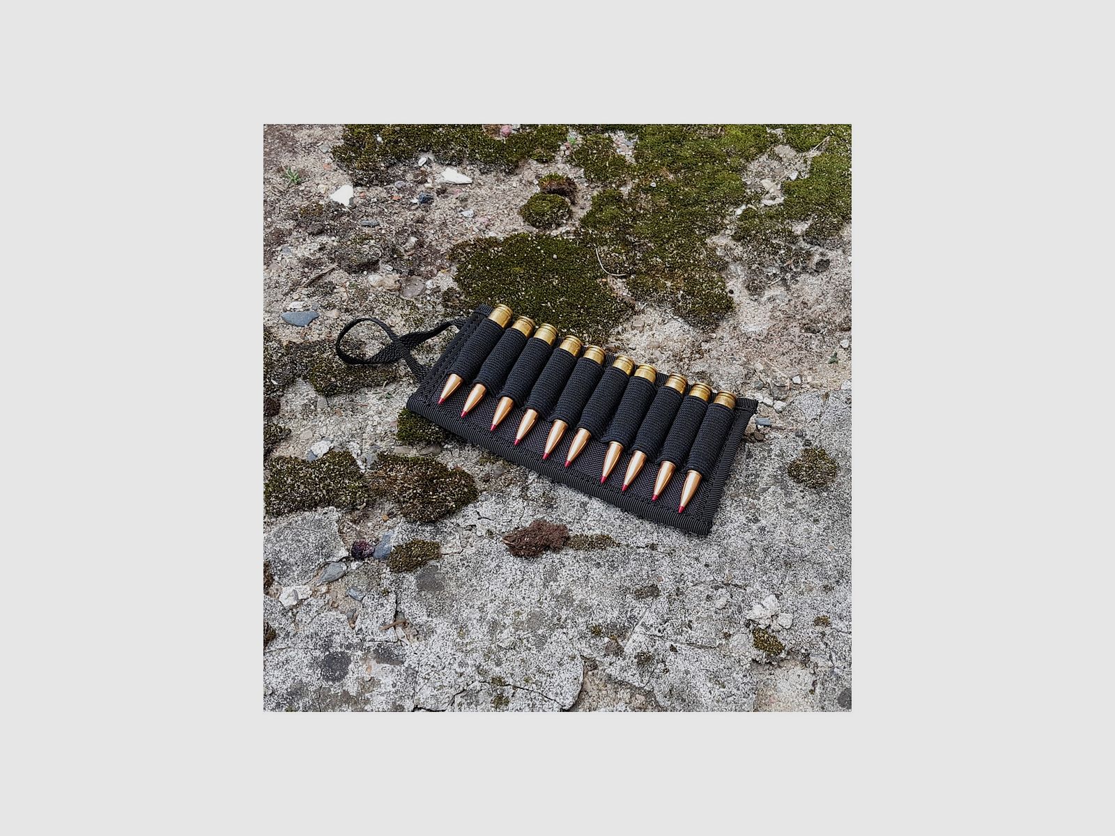 TACTICAL EVO Ammo Panel 10, imagen 2 de 4