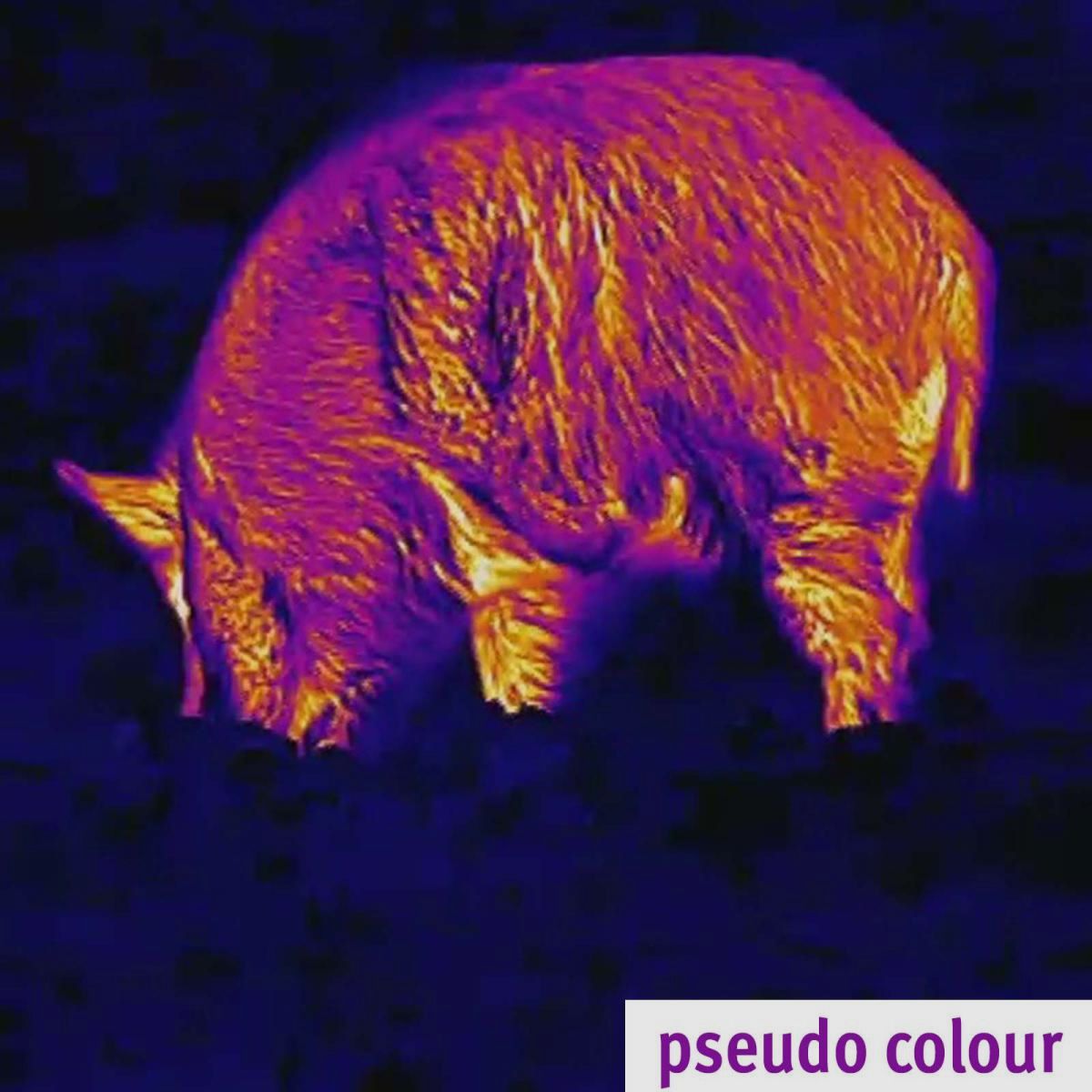 Lahoux Spotter 35 warmtebeeldcamera