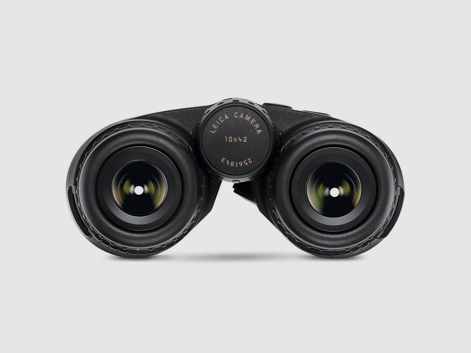 LEICA Fernglas mit Entfernungsmesser Geovid 10x42 R SE