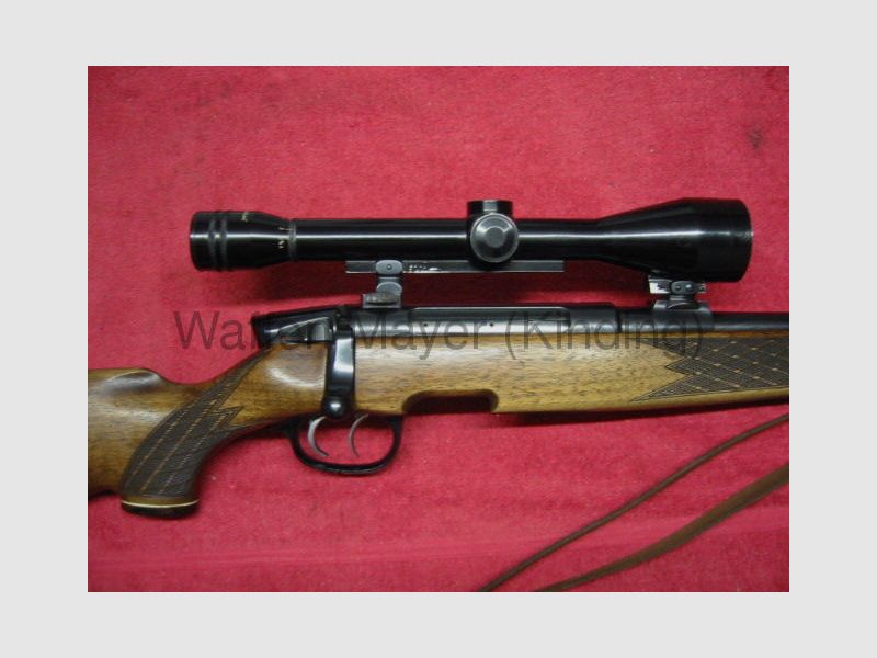 Steyr Mod.S