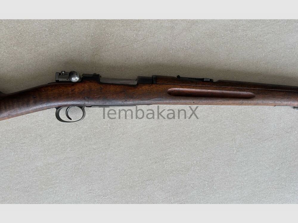 Carl Gustafs M96 6,5x55SE