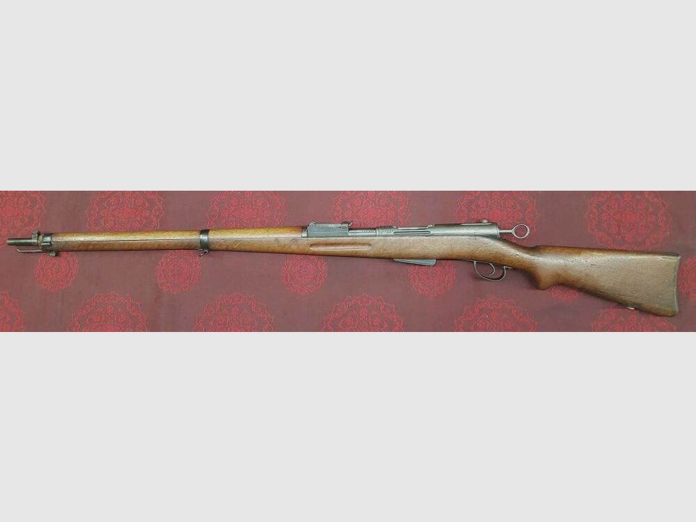 Schmidt Rubin G11