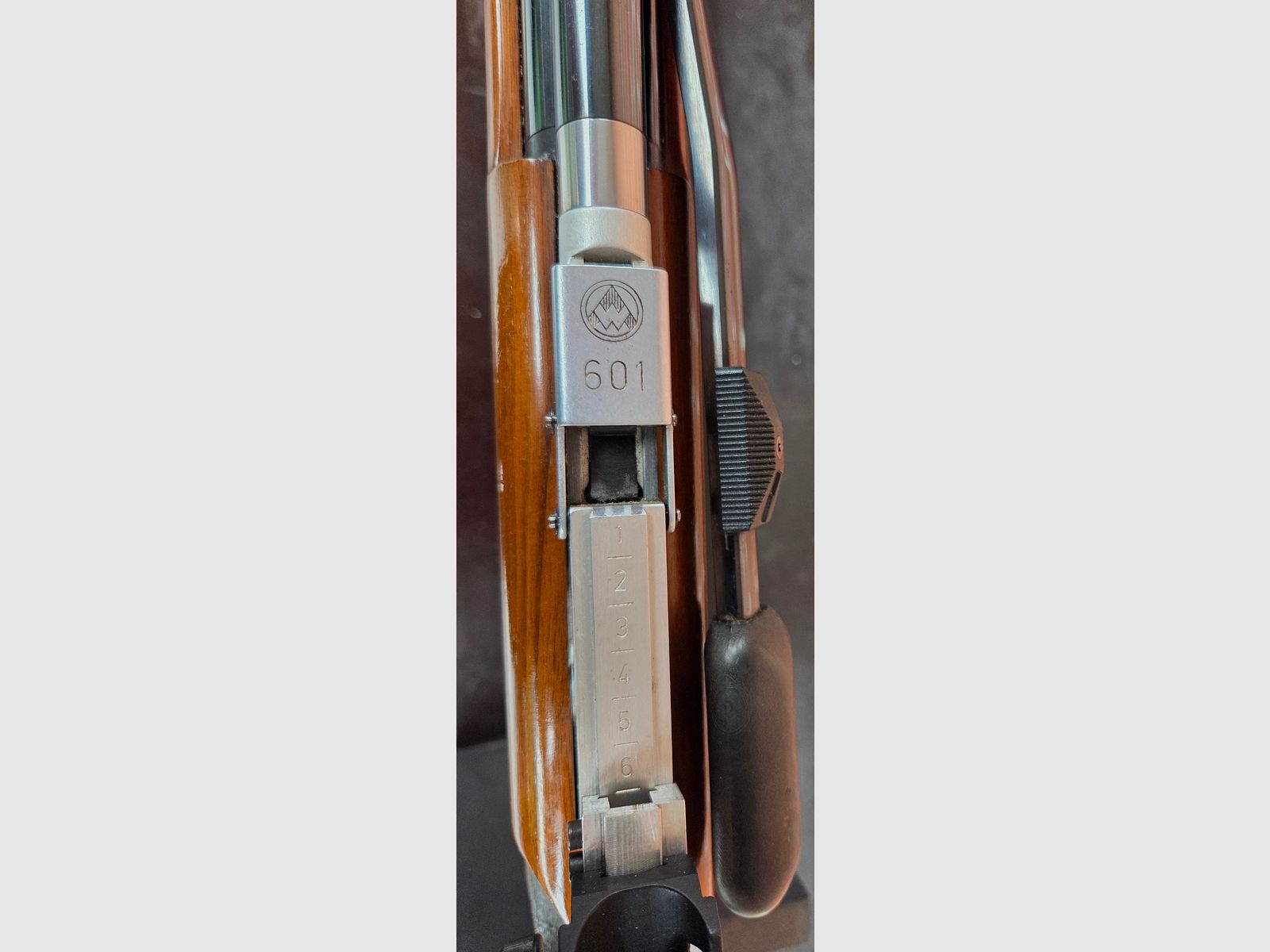 Feinwerkbau 601 Match rifle de aire