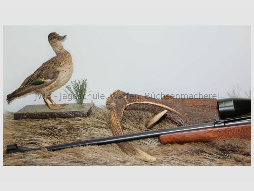Anschütz 1516 met Tasco 3-9 x 40 .22WinMag
