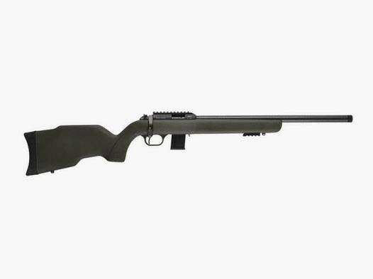 Diana R-22 carbine cal. .22LR carbon