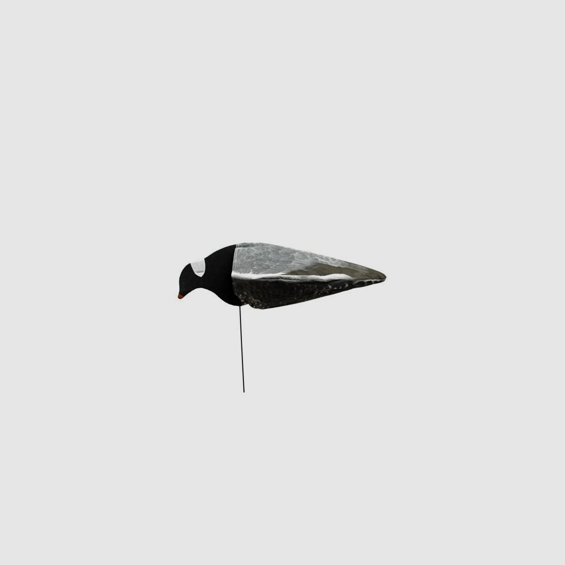 Sillosocks Pigeon z głową w dół, żerujący gołąb, zdjęcie 3 z 4