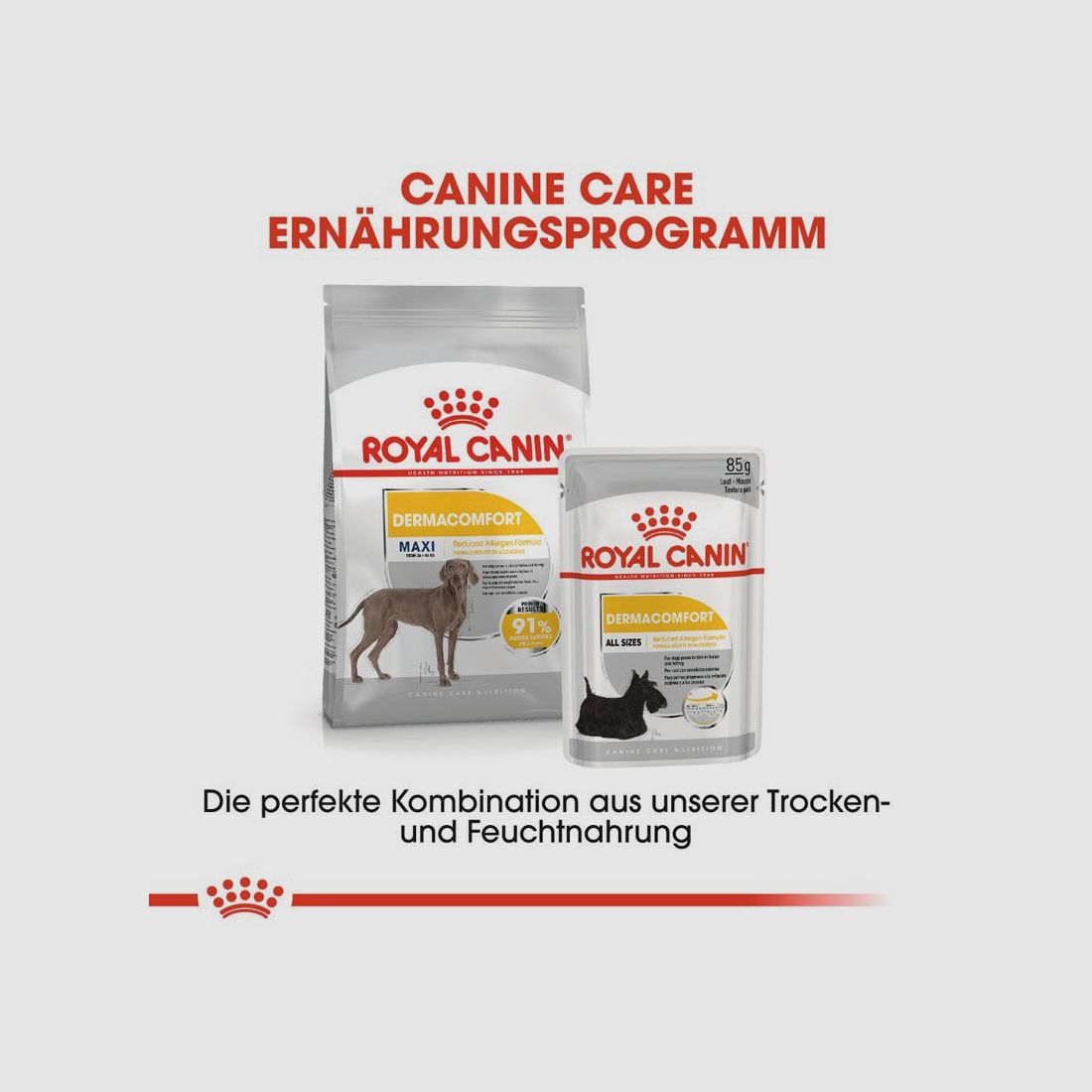ROYAL CANIN Große Hunde Trockenfutter Dermacomfort Maxi für empfindliche Haut