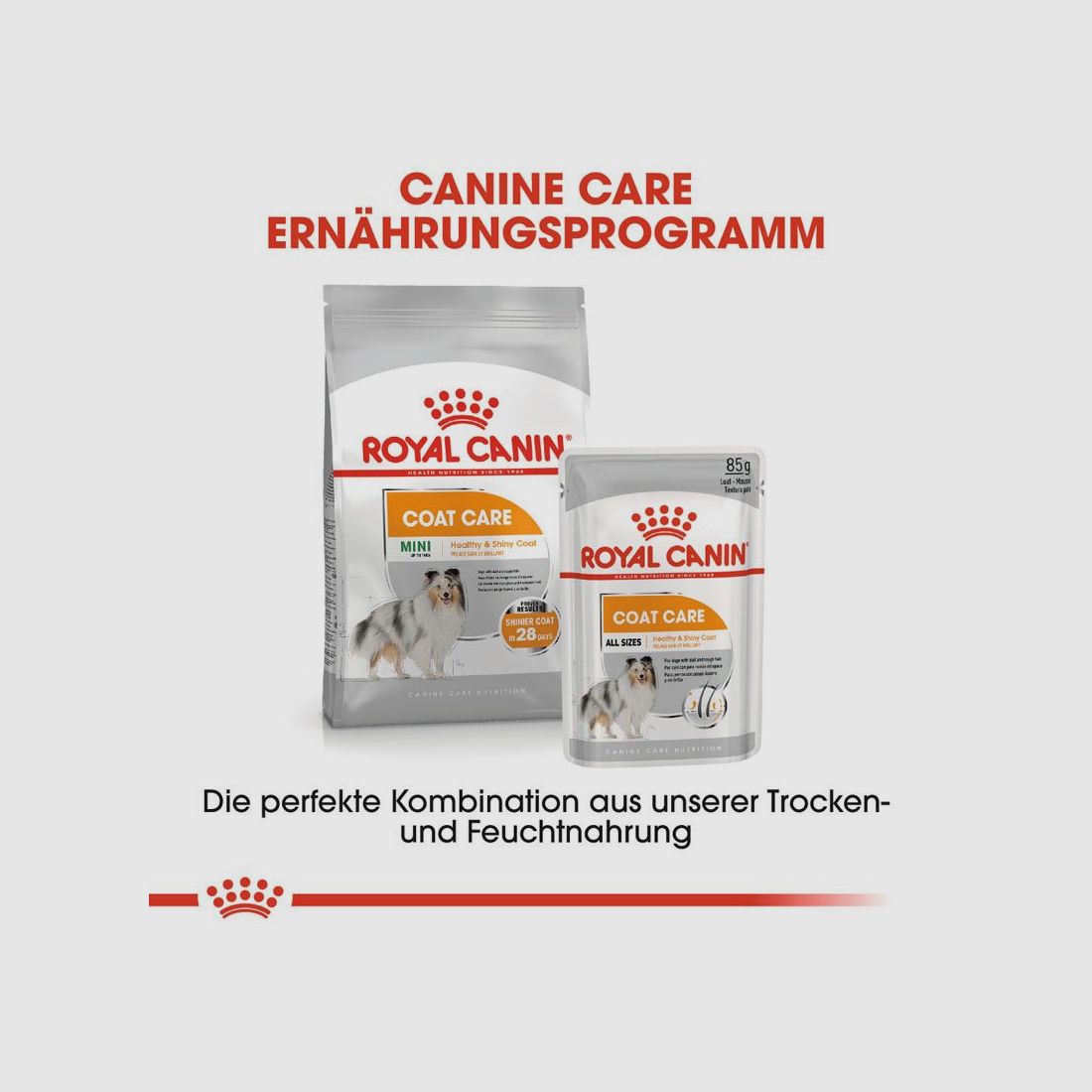 ROYAL CANIN Kleine Hunde Trockenfutter Coat Care für glänzendes Fell 3 Kg