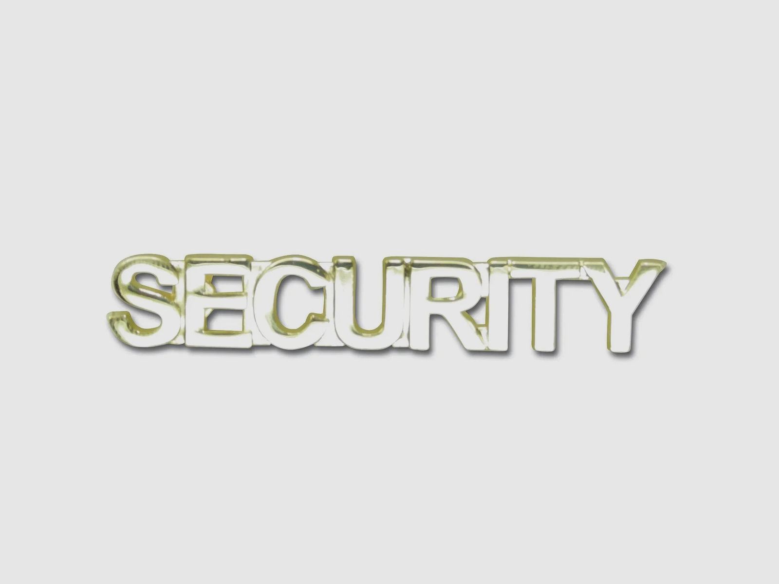 Fritzsch Kragenspiegel SECURITY goldfarben