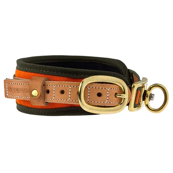 Collar para Perros de Sangre Naranja Fluo Niggeloh