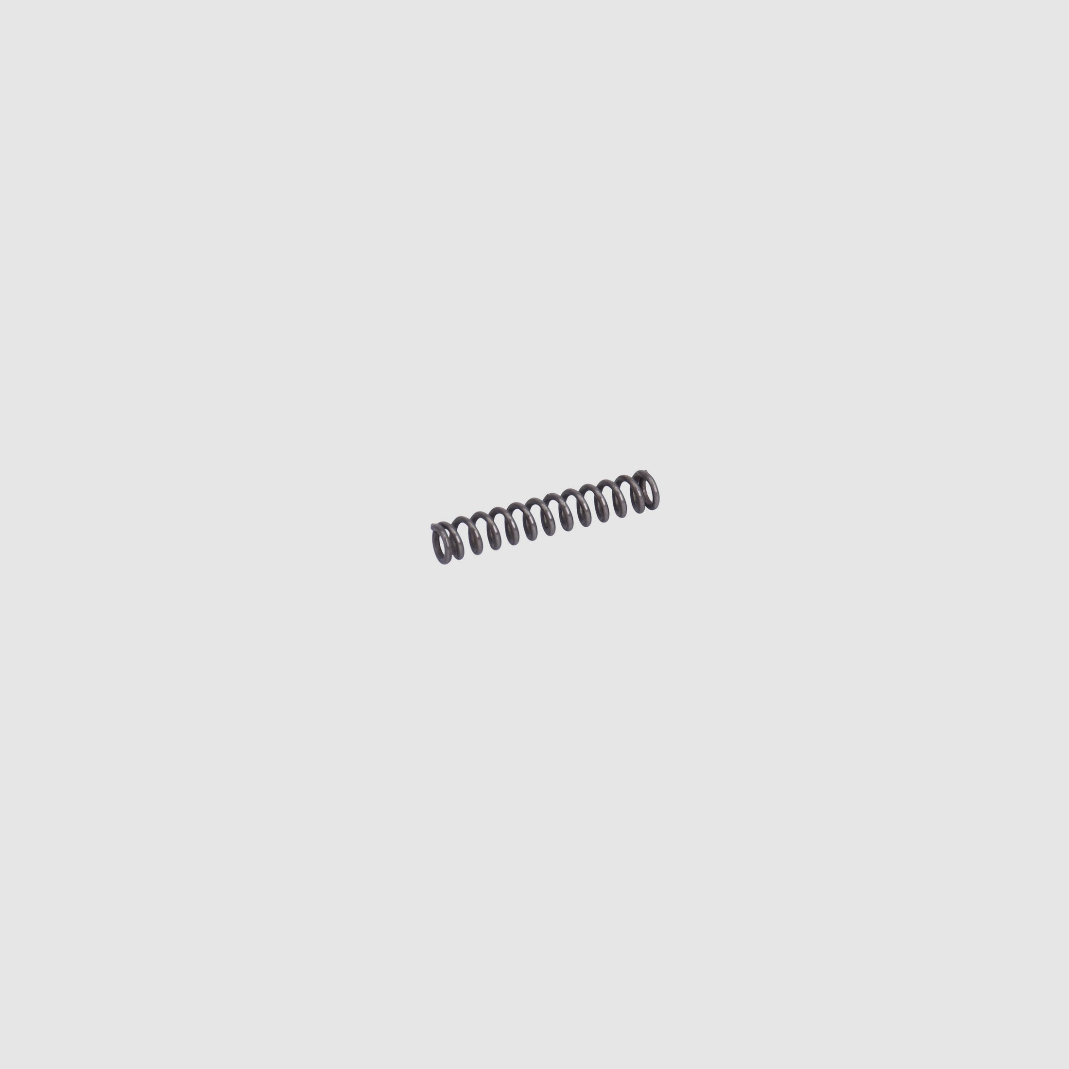 SIG SAUER SIG Pro | SPC | 2022 Feder zu Magazinhalter